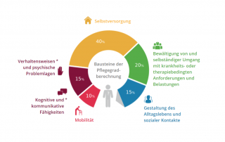 Kreisdiagramm mit sechs Lebensbereichen und deren Gewichtung bei der Pflegebegutachtung